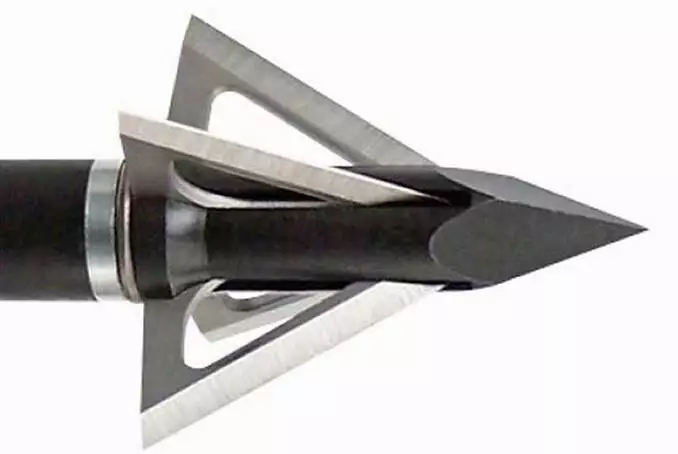 Which Statement About Broadheads Is True?